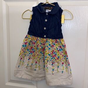 Penny M Dress size 24M